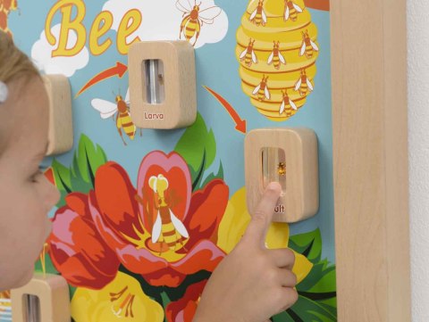 MASTERKIDZ Cykl Życia Pszczoły Ścienna Tablica Edukacyjna Flex Montessori
