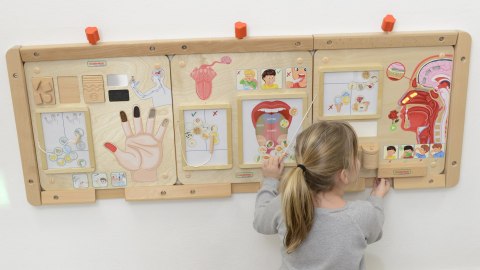 MASTERKIDZ Tablica Edukacyjna Zmysł Wzroku Montessori