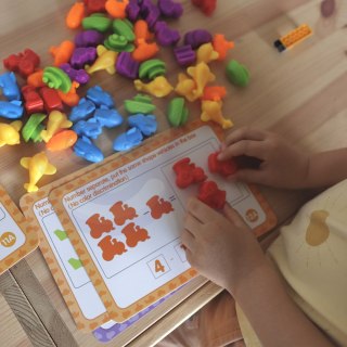 WOOPIE Zestaw Edukacyjny Nauka Liczenia Montessori Sorter Kolorów 2szt