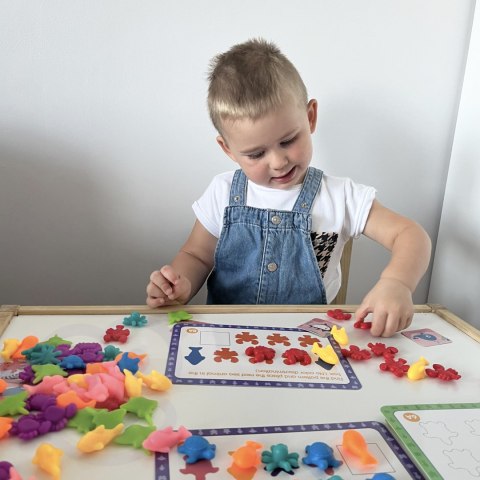 WOOPIE Zestaw Edukacyjny Nauka Liczenia Montessori Sorter Kolorów Morska Kraina 111 el.