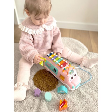 WOOPIE BABY Samochodzik Muzyczny Sorter z Cymbałkami Różowy