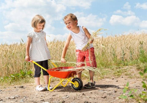 Taczka dla dzieci czerwona metalowa Rolly Toys