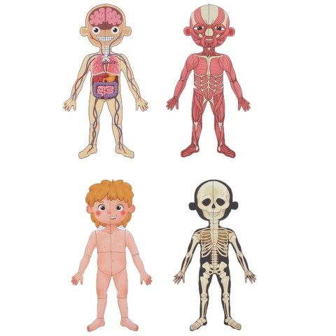 Tooky Toy Drewniane Puzzle Montessori Magnetyczne Nauka Anatomia Człowieka 78el.