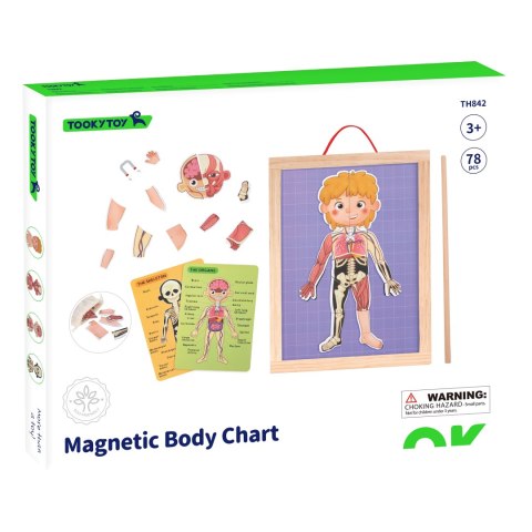 Tooky Toy Drewniane Puzzle Montessori Magnetyczne Nauka Anatomia Człowieka 78el.