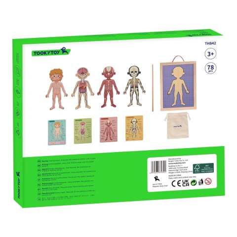 Tooky Toy Drewniane Puzzle Montessori Magnetyczne Nauka Anatomia Człowieka 78el.