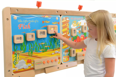 Cykl Życia Ryby Tablica Edukacyjna Masterkidz Podświetlana Cykl Życia Ryby Tablica Edukacyjna Masterkidz Podświetlana